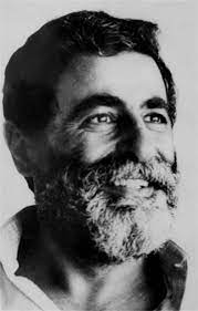 Mahdi Amel
